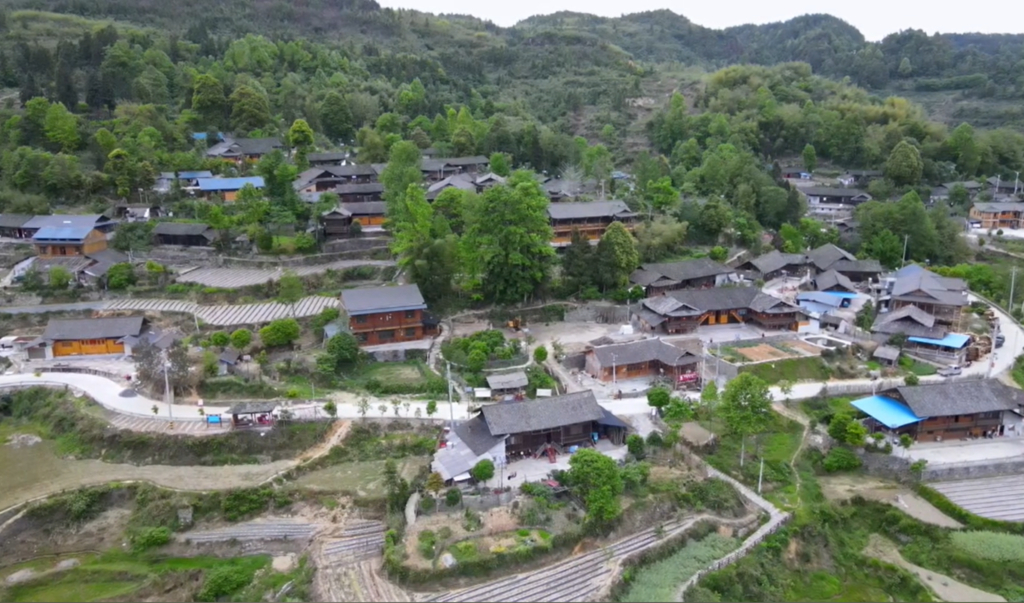 Honeyview_image003.jpg Honeyview_image003.jpg