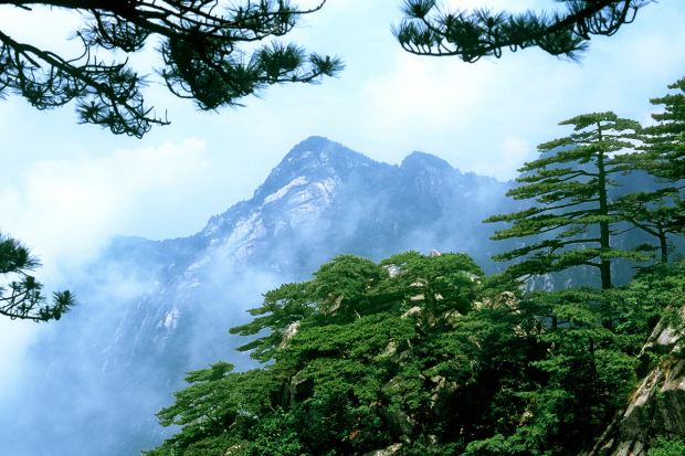 image001 (2).jpg image001 (2).jpg