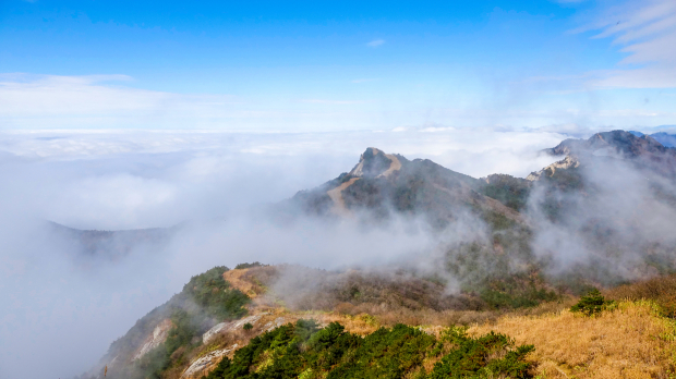 image005 (2).jpg image005 (2).jpg