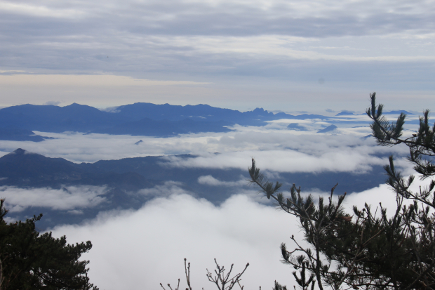 image009 (2).jpg image009 (2).jpg