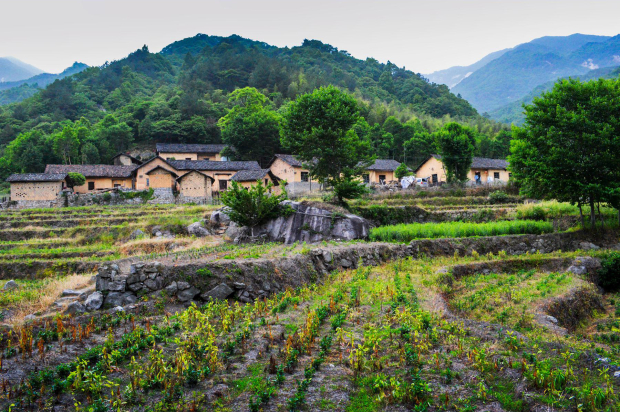 image031 (2).jpg image031 (2).jpg