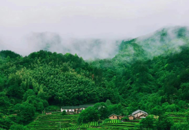 image033.jpg image033.jpg